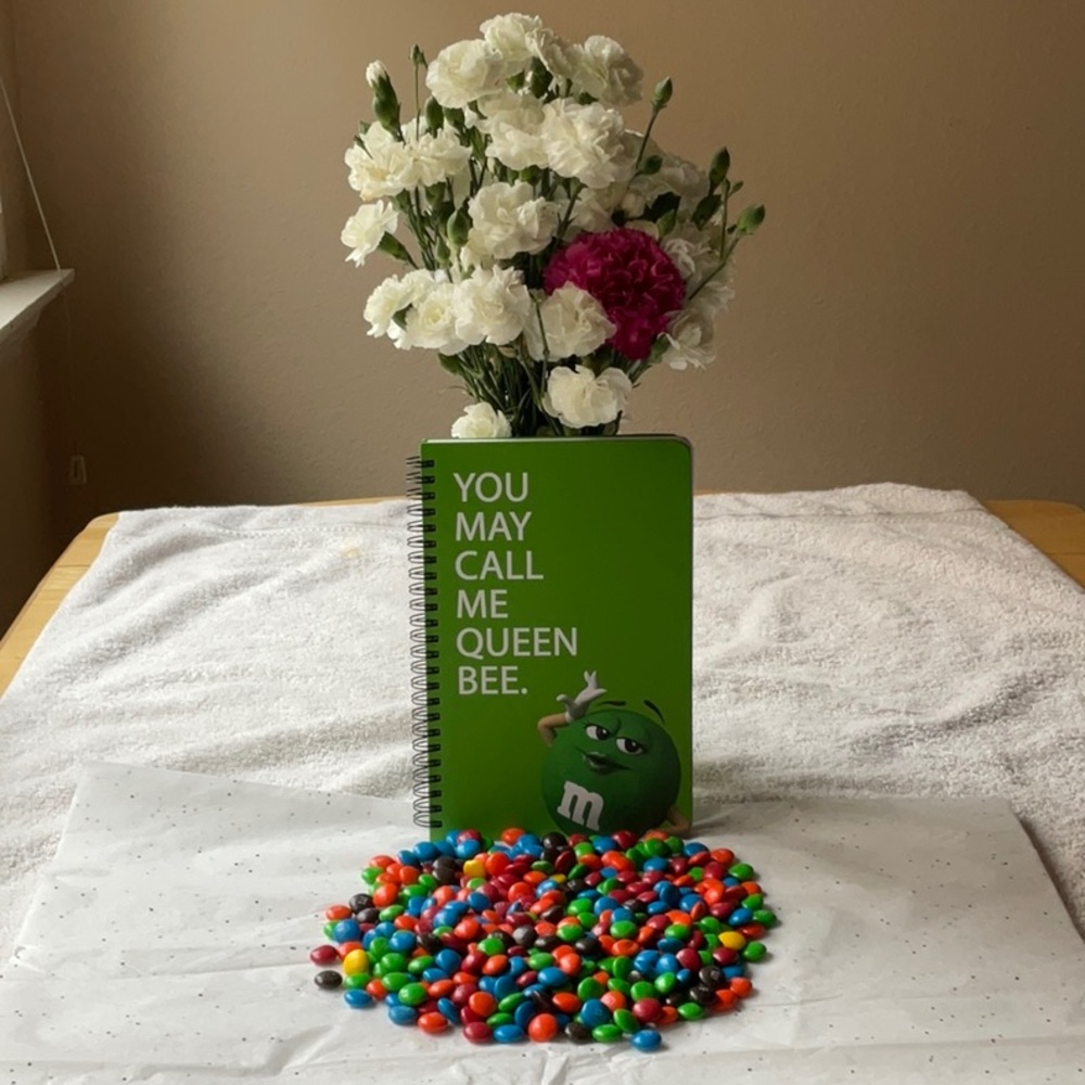 📗💙 M&M’S NOTEBOOK 📗💙 - Picture 4 of 16